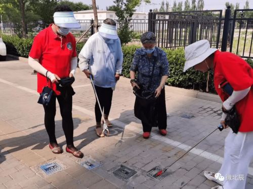 我為群眾辦實(shí)事 北辰區(qū)開(kāi)展常態(tài)化建設(shè)文明城區(qū)志愿服務(wù)活動(dòng)